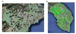 Spatial Bayesian Modeling Applied to the Surveys of Xylella fastidiosa in Alicante (Spain) and Apulia (Italy)