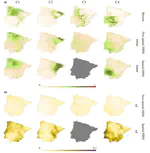 A hierarchical Bayesian Beta regression approach to study the effects of geographical genetic structure and spatial autocorrelation on species distribution range shifts