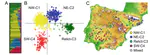 Ecological, genetic and evolutionary drivers of regional genetic differentiation in Arabidopsis thaliana