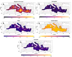 Modelling seabirds biodiversity through Bayesian Spatial Beta regression models: A proxy to inform marine protected areas in the Mediterranean Sea